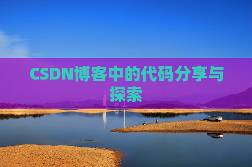CSDN博客中的代码分享与探索